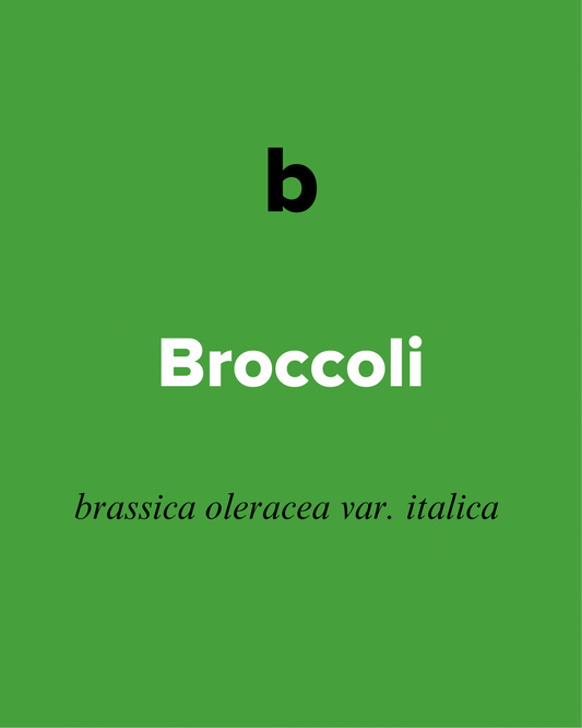 B is for Broccoli