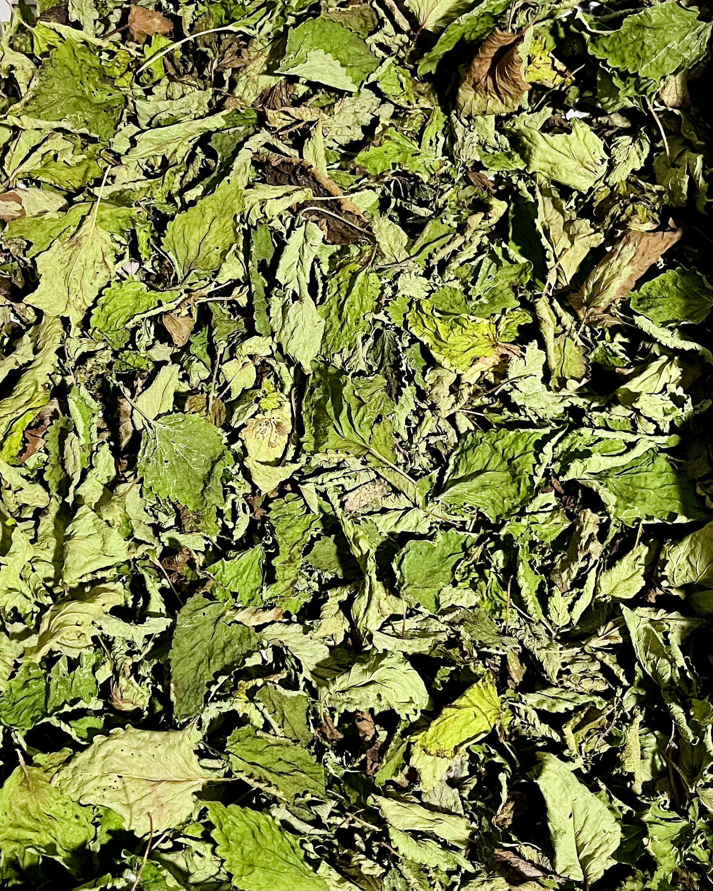 Dried Lemon Balm