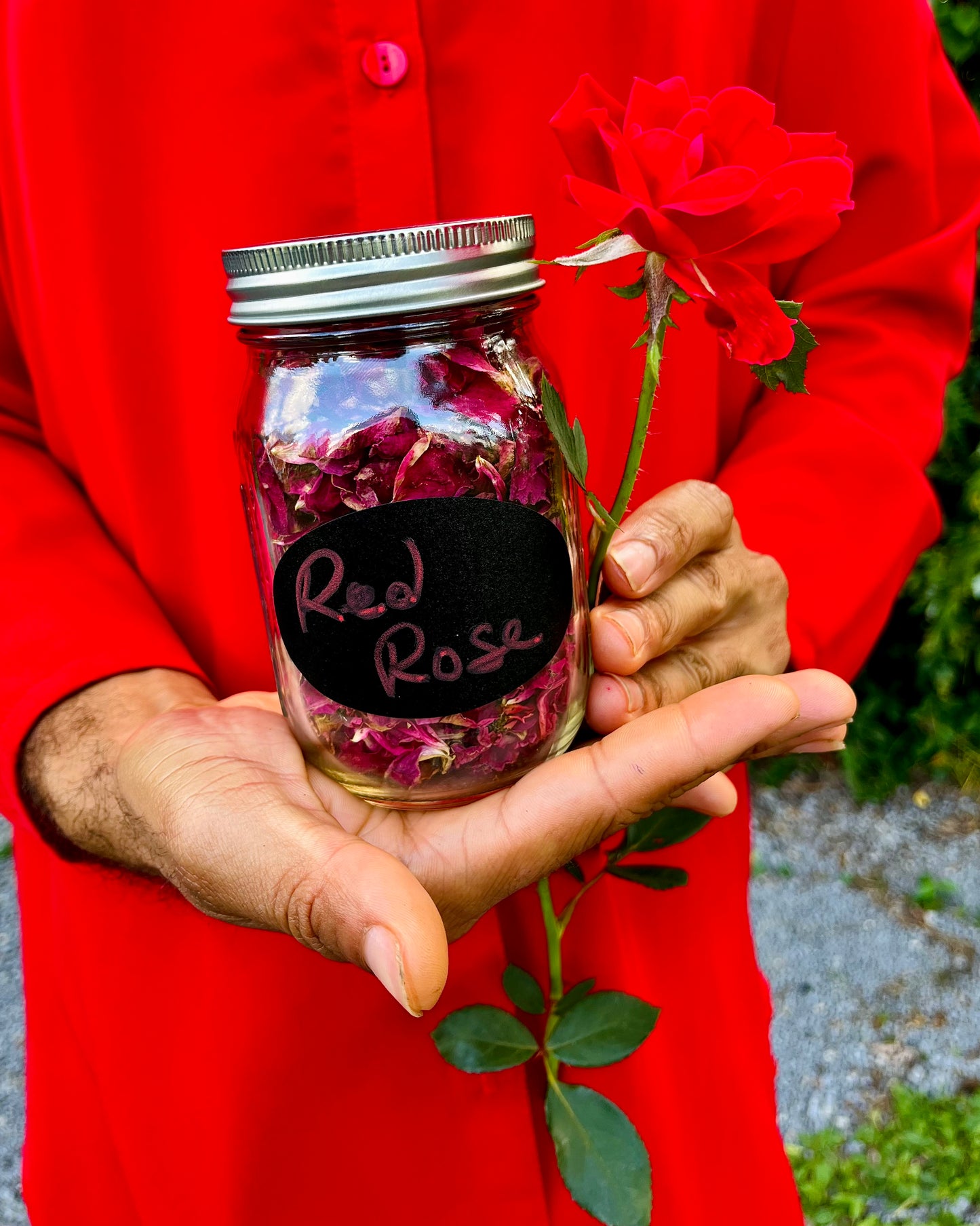 Dried Red Rose Petals