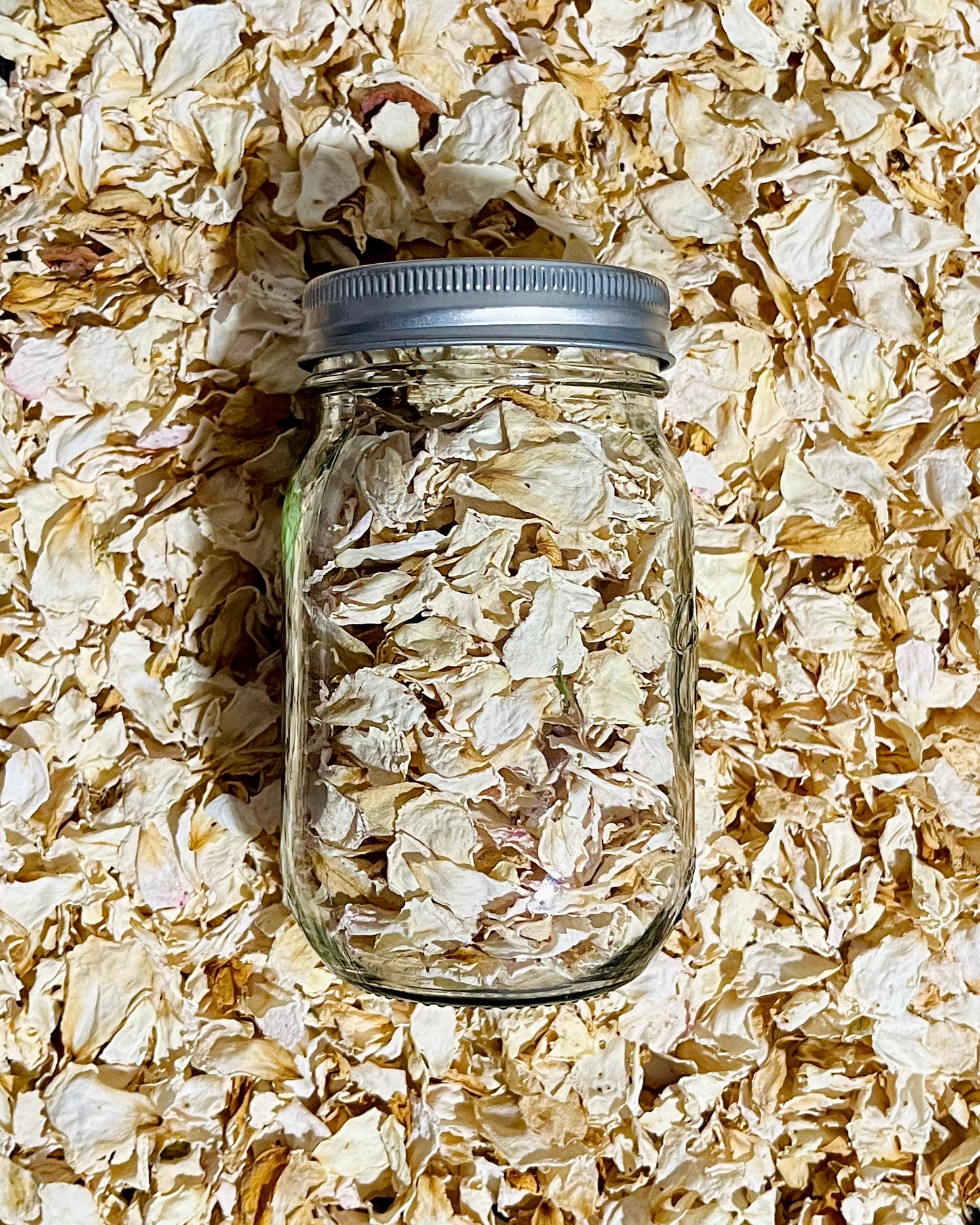 Dried White Rose Petals